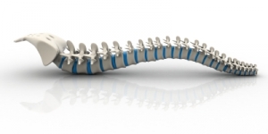 Disc bulge and back pain disc bulge geelong back pain geelong, Chiropractor, Chiropractic, low back pain geelong