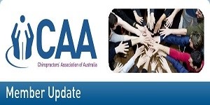 geelong chiropractic, Chiropractor Geelong