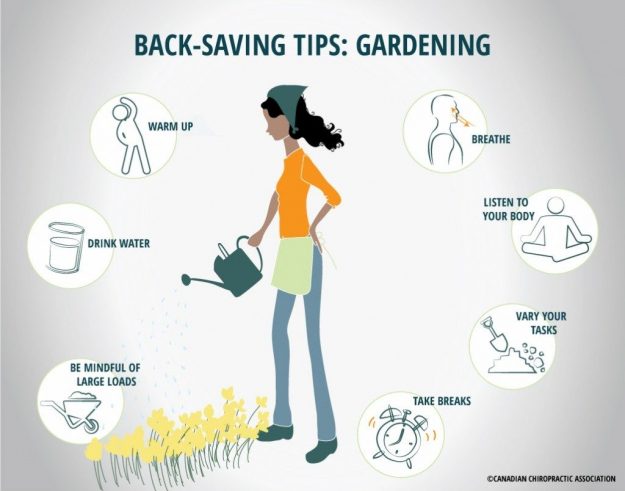gardening tips blog